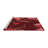 Indoor Rug-545655022