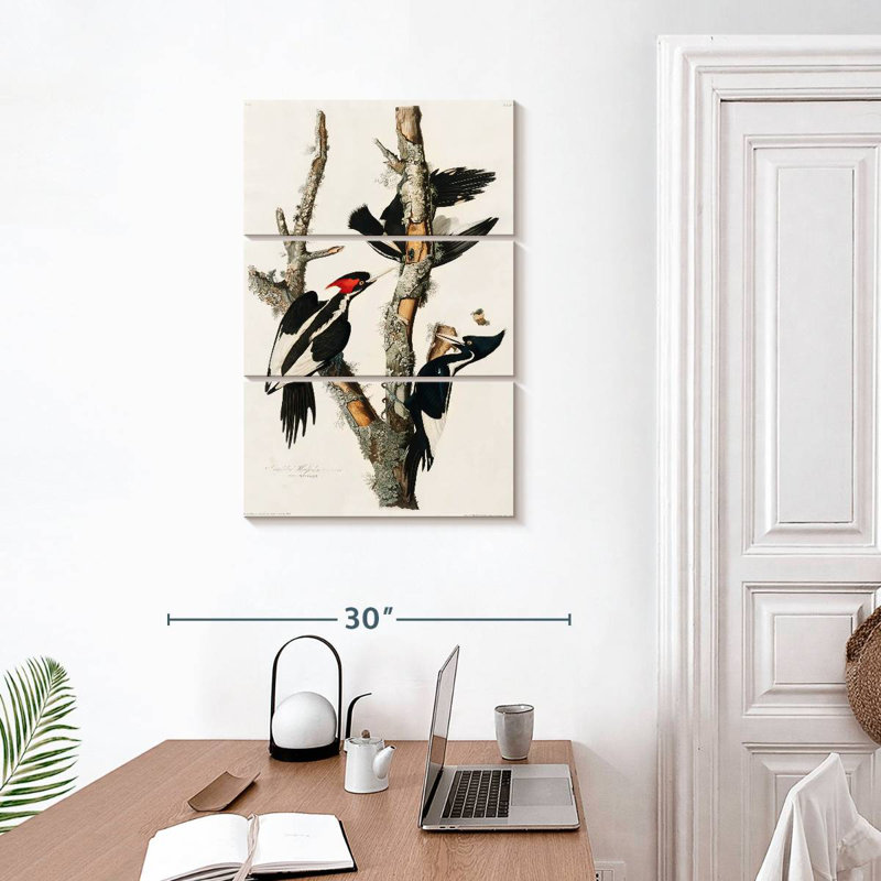 Ivory Billed Woodpecker, 32" H x 20" W