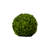 Boxwood Topiary