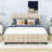 Seemab Upholstered Platform Bed with 2 Drawers, Trundle and Slats-28629586