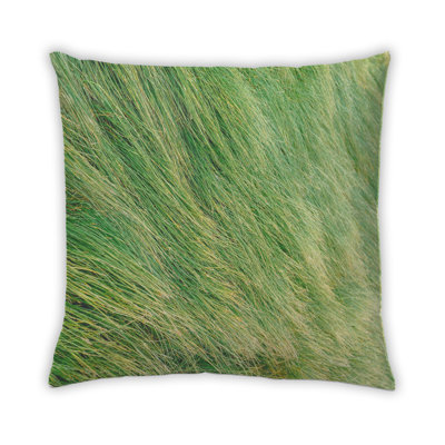 Coussin Plants Grass 7