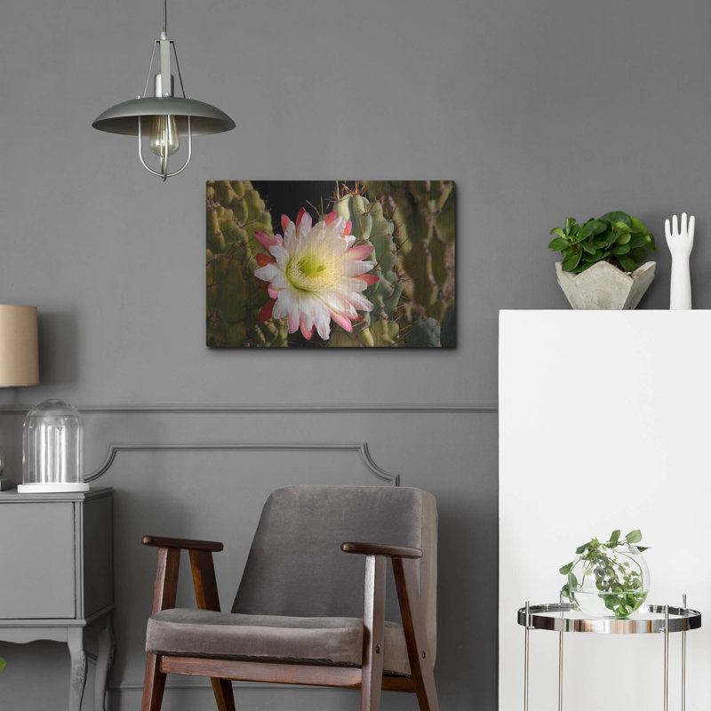 «Night Cactus Bloom Az 8663» par Mike Jones, art mural en métal, 24 po x 16 po, 24 po x 16 po