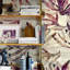 Pink Seaweed Botanical Wallpaper