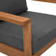 Lanie Eucalyptus Patio Chair With Cushion - Set Of 2 