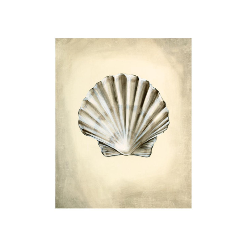 «Seashells IV» par Sydney Edmunds - impression, H 30 po x l 24 po x P 1,5 po, Plexi