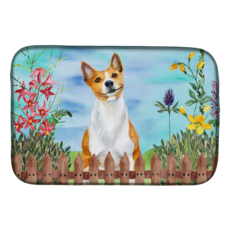 Tapis de séchage à ressorts basenji