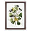 Small-Flowered Hawthorn Berry Tree - Picture Frame Painting Print-55618636-55618639