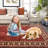 9x12 Rugs for Living Room Washable Rug for Bedroom Scalloped Area Rugs Stain Resistant Modern Soft Folding Throw Carpet Low Pile Floor Cover for Nursery Playroom-1771976898-1771976892