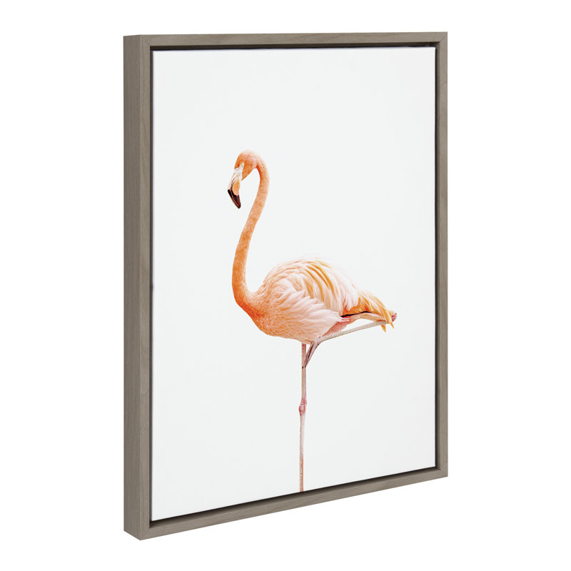 Flamant debout par Amy Peterson, reproduction d'art sur toile encadrée, Cadre gris
