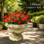 Jardinière d'extérieur durable unique peinte à la main avec trou de drainage et bouchon, fabrication en oxyde de magnésium résistant aux intempéries, idéale pour la plantation de patio, de terrasse, de jardin, de balcon et de décoration