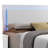Kavinda Vegan Leather Platform Bed