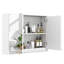 56 mm W 45 mm H Wall Mounted Mirrored Bathroom Cabinets Shelves-648093843