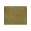 Optimist Share Fabric-78978616
