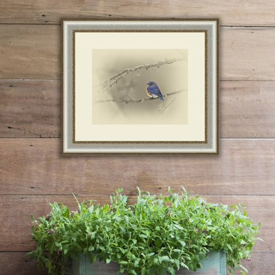 « blue oiseau », reproduction de photo encadrée