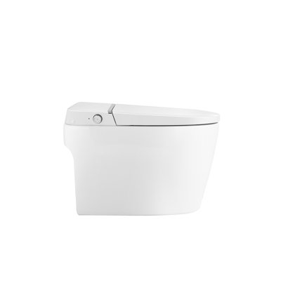 Combinaison de bidet de toilette intelligente avec buse autonettoyante, siège chauffant, veilleuse, commande à bouton, chasse d'eau en cas de panne de courant, fermeture en douceur, chasse automatique, avec télécommande