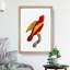 Red-and-Gold Lory by F. Levaillant - Picture Frame Painting Print-55598454-55598461