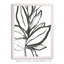 « leaf instinct i » par paul cezanne-cadre photo, reproduction d’art-273954034-273954036-273987942