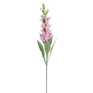 Fuchsia Stem (Set of 2)