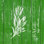 Sauge - impression sur toile tendue