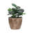 Makell Pot Planter