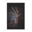 La prune sur toile-1014166478