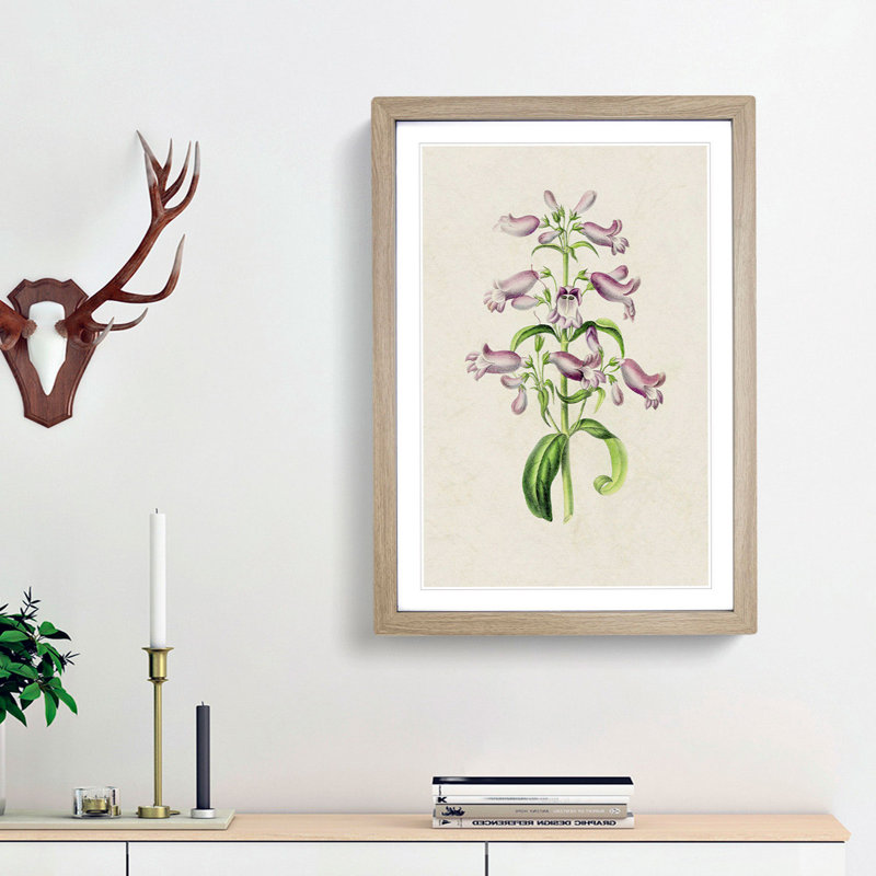 Purple Beardtongue Flower Illustration - Framed Print, 36cm H x 27cm W x 2cm D, Oak Framed