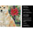 Cream Shiba Inu Christmas PoinsettIas Kitchen Towel-2080584145