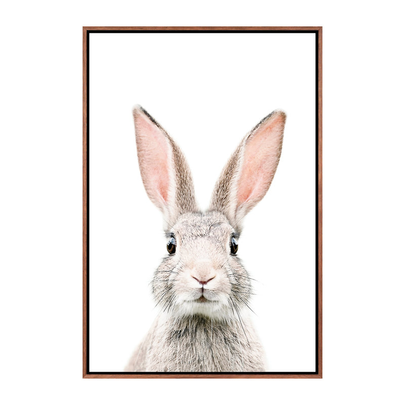 «Bunny» par Sissi & Seb - reproduction de photo, H 26 po x l 18 po x 1,5 po, Toile avec cadre brun, Pas de tapis