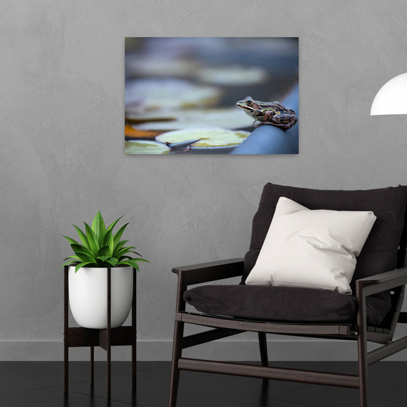Grenouille d'étang vigilante, affiche murale contemporaine avec lys et grenouille, 16" H x 24" W