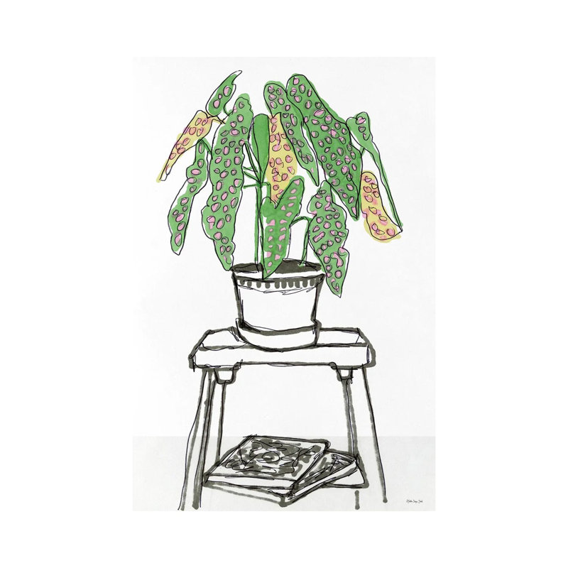 House Plant Study I by Stellar Design Studio - Wrapped Canvas Gallery-Wrapped Canvas Giclée, 45.72 cm H x 30.48 cm W
