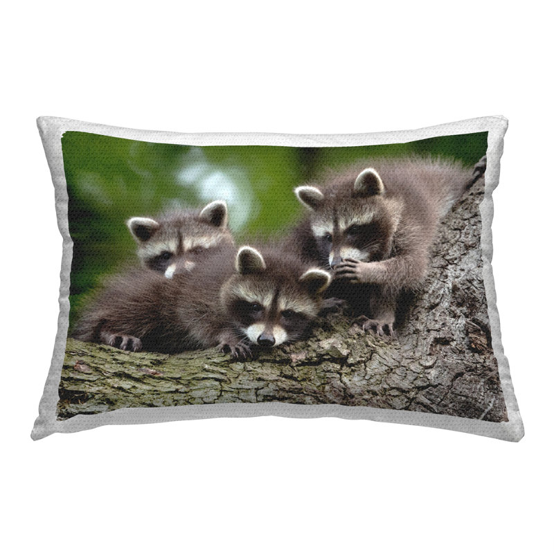 Outdoor Throw Pillow
