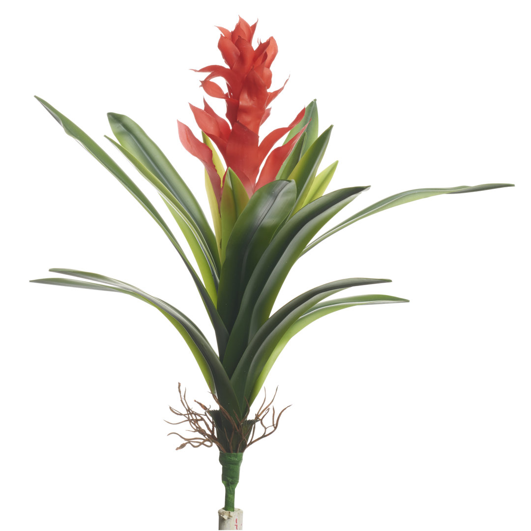 21.25'' Faux Ginger Plant Plant Primrue