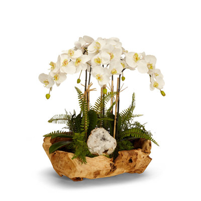 Orchid Centerpiece in Planter