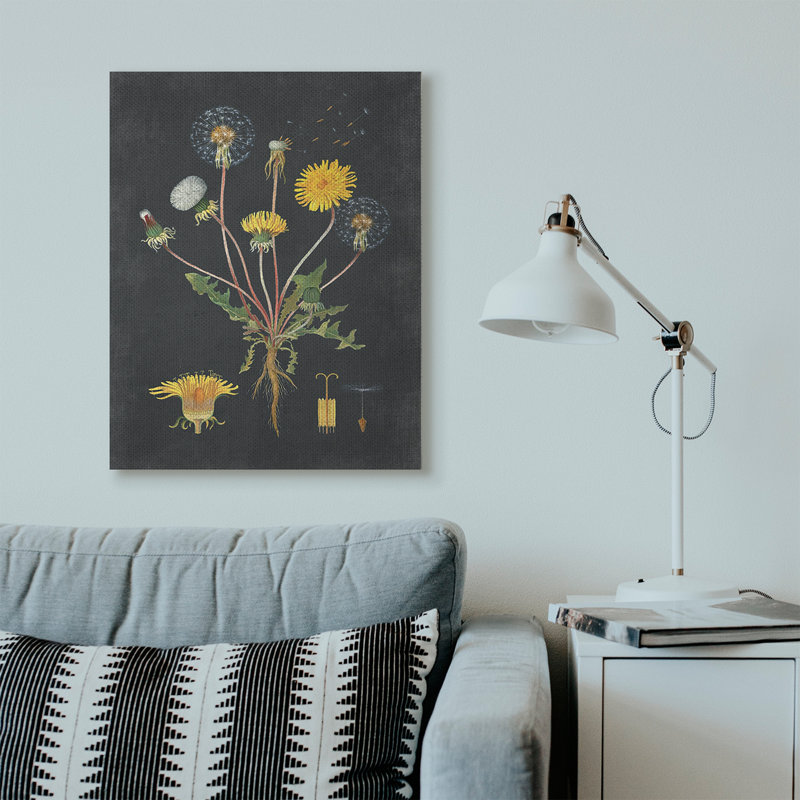 «Botanical Dessin Dandelion On Black Design», impression, Toile tendue, H 40 po x l 30 po