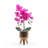 Pink Orchid in Copper Pot