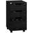 Hilliary 15.75'' Wide 3 -Drawer Mobile File Cabinet-325456372
