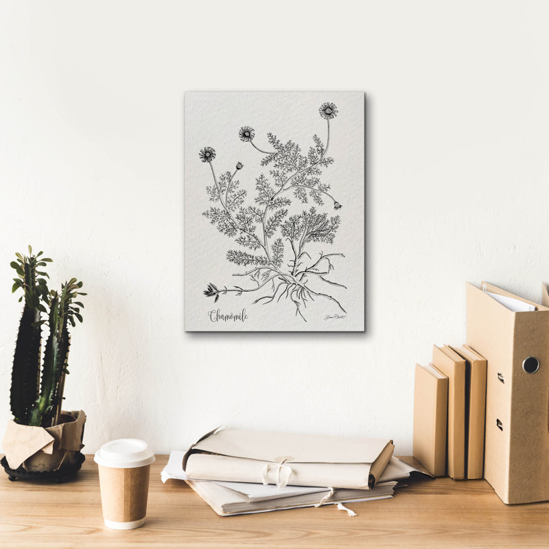 «Epic Graffiti», Études botaniques sur papier C par Jean Plout, art mural 12 po x 16 po, H 16 po x l 12 po