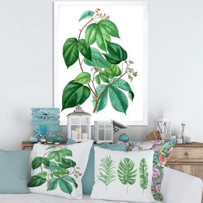 " Leaves Plants III "