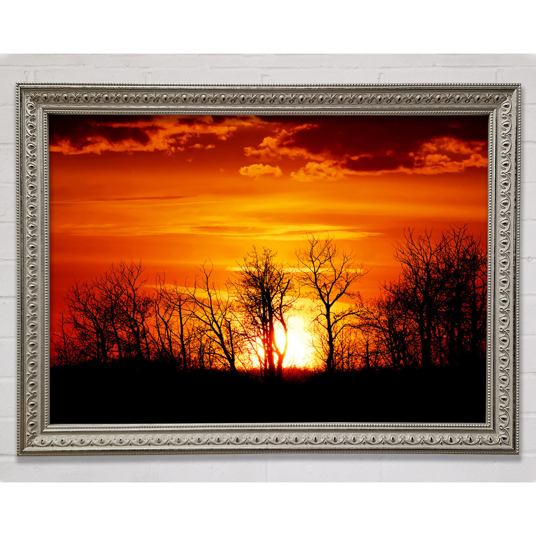 Orange Sunset Treeline - Einzelner Bilderrahmen Kunstdrucke