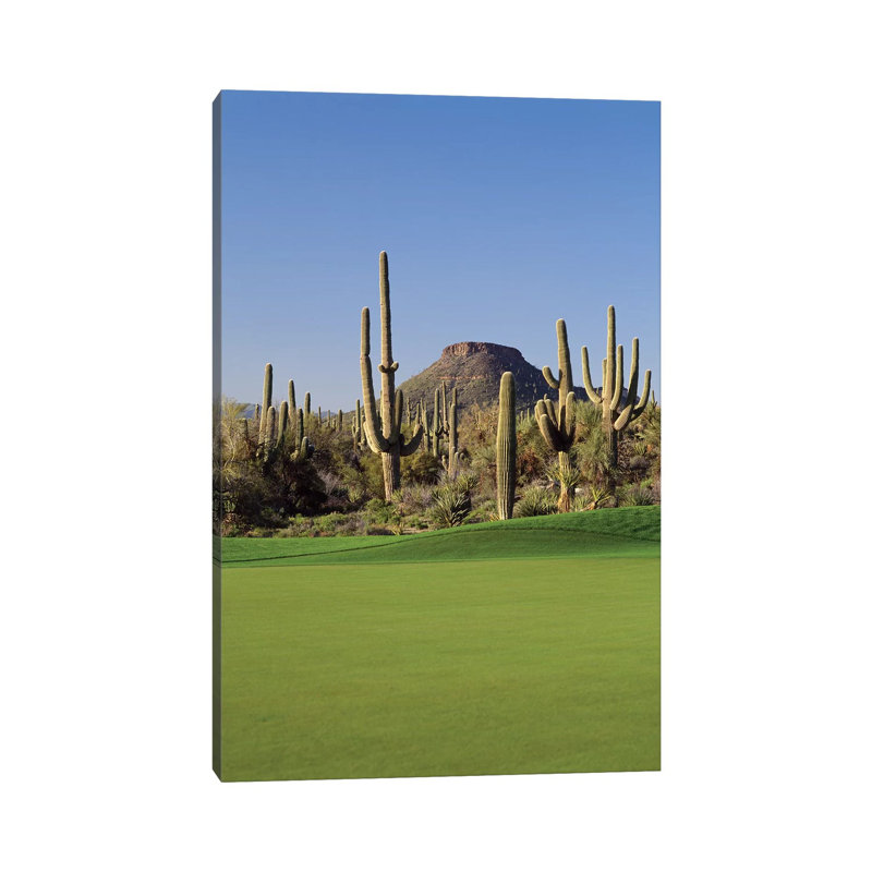 Saguaro Cacti In A Golf Course, Troon North Golf Club, Scottsdale, Maricopa County, Arizona, USA by Panoramic Images - Wrapped Canvas Print