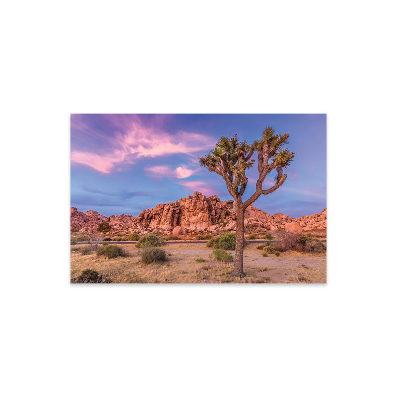 Joshua Tree in The Evening, impression sur verre acrylique