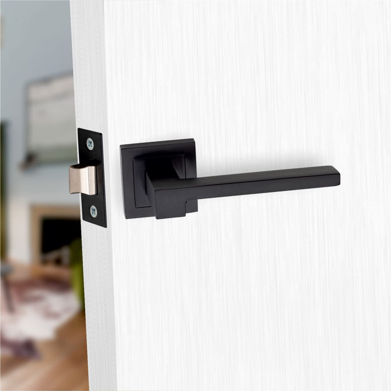 Latch Handle with Backplate