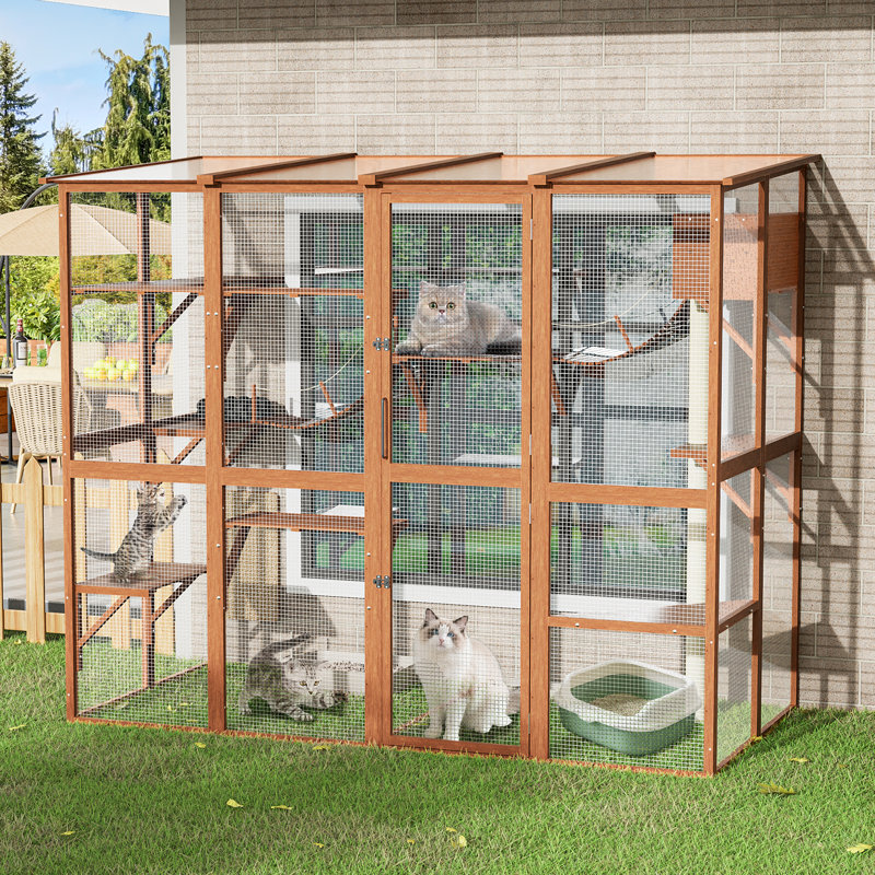 Enceinte d'extérieur pour chat Catio, grande maison de chat avec ponts, plateformes et petite maison, Orange