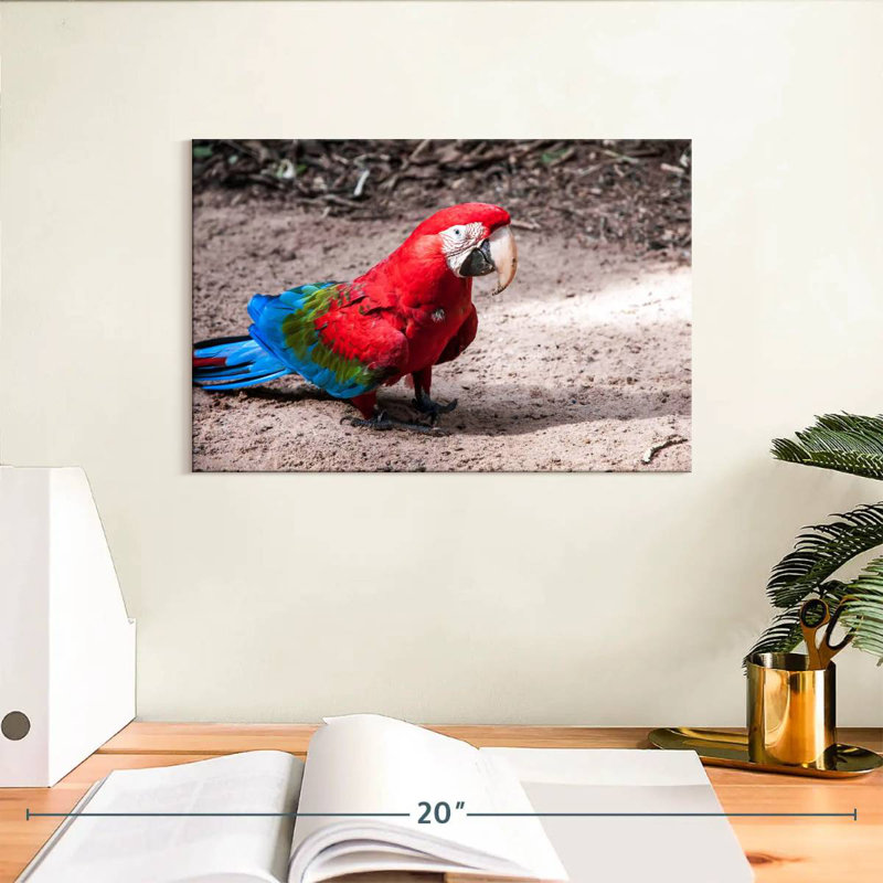 Brampt Brazilian Red Macaw, 8" H x 12" W
