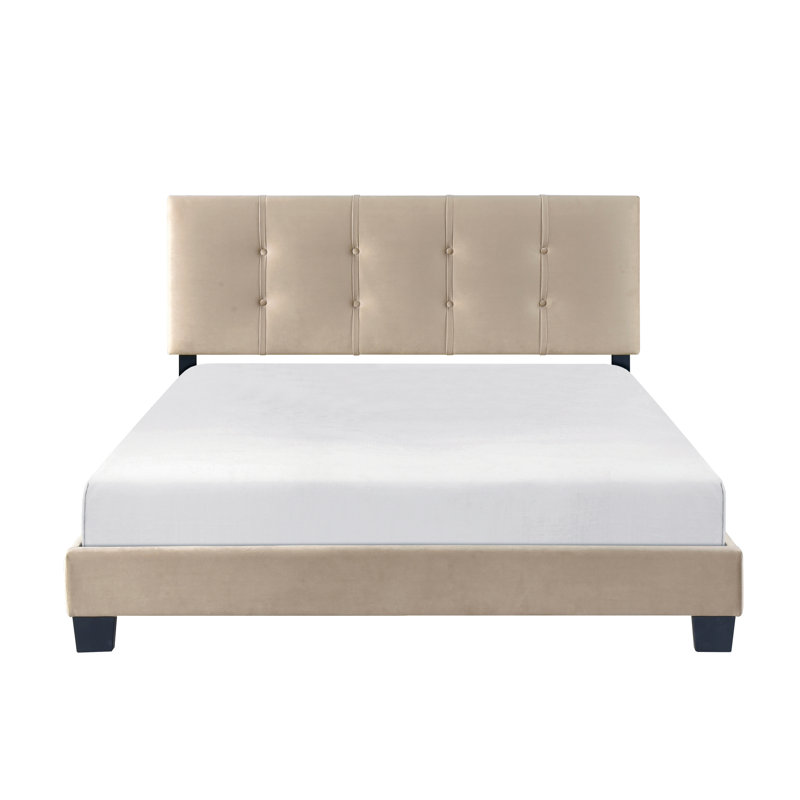 Solid Wood Queen Platform Bed, Brown Velvet, Adjustable Headboard Option Pc Velvet Upholstered Frame,, Light Brown