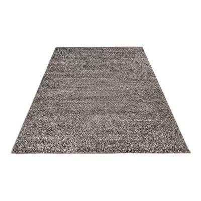 Nassau Area Rug