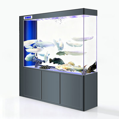 Clear Glass Extra-Large Rectangular Aquariums Tank
