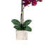 Phalaenopsis artificiel en pot 22 po Karelis-462425076