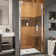 Elegance-LS 39.75" W x 72" H Pivot Frameless Shower Door with ClearMax™ Technology