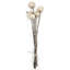 Set Of 12, 23.5"   5Pcs/Bunch Pumpkin Pod Twig Stem